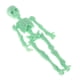 thumbnail image 1 of Hombre esqueleto de Halloween de cuerpo completo con grupos de manos para decoración Sodagreen, 1 of 5