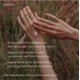 thumbnail image 3 of Bálsamo de Manos Oak Essentials 325 ml Cashmere Musk, 3 of 9