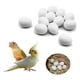 thumbnail image 1 of Huevos Falsos para Pájaros FOIBURELY 12 Piezas de Plástico para Incubación, 1 of 4