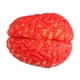 thumbnail image 2 of Accesorio De Terror De Halloween, Decoración De Fiesta De Cerebro Ensangrentado Falso, Festival, Partes Del Cuerpo Falsas, 2 of 5