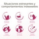 thumbnail image 3 of Catcomfort Difusor+repuesto Solucion Frasco 48 Ml X 1 Unidad, 3 of 6