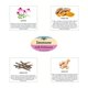 thumbnail image 4 of Té Herbal Cup Ayurveda Inmunidad 16 bolsas sin cafeína, 4 of 6