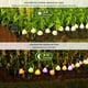 thumbnail image 5 of Guirnalda de luces solares para exteriores, 20 LED, decoración con forma de seta, 8 modos luminosos, impermeables, para jardín, césped, balcón, terraza, Pascua., 5 of 8
