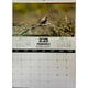 thumbnail image 2 of Calendario Pared Aves De Chile 2025 Varios Autores, 2 of 3