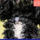 thumbnail image 3 of Collar para perro Herm Sprenger 32 cm negro de acero inoxidable, 3 of 4