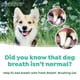 thumbnail image 3 of TropiClean Total Care Kit For Large Dogs, 3 of 3