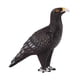 thumbnail image 1 of Animal águila Modelo Realista Vida Silvestre Modelo Figura Decoración Del Hogar Para La Colección, 1 of 5