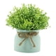 thumbnail image 4 of Pequeñas Plantas Artificiales En Maceta Para Bodas, Oficina, Orquídea Falsa, Flor De Frijol En Maceta Verde., 4 of 5