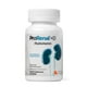 thumbnail image 1 of Suministro de 90 días de Supplement Nephroceuticals Prorenal+D Kidney, 1 of 3