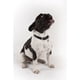 thumbnail image 4 of Collar Starwars Talla M + Correa, 4 of 5