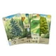 thumbnail image 2 of Forest Shuffle Linde del Bosque, 2 of 2
