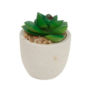 Homewell - Cactus Artificial Suculenta 9Cm