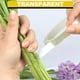 thumbnail image 3 of Cinta floral ARIFLOR transparente impermeable para arreglos florales, 3 of 7
