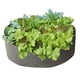 thumbnail image 1 of Bolsas para cultivo de plantas, macetas redondas elevadas para jardín, contenedor de tela transpirable y duradero para patatas, verduras y frutas, jardinería y exteriores., 1 of 5