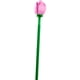 thumbnail image 4 of Bloques de construcción Flores de Loto 40647, 4 of 4