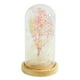 thumbnail image 2 of Lámpara De Cúpula De Cristal De Flores Secas Led Lámpara De Mesa Cadena De Luz Rosa, 2 of 3