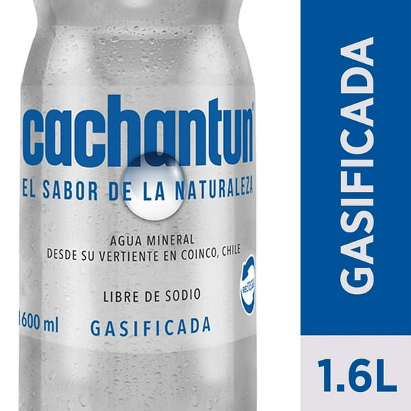 Agua Mineral Con Gas Botella