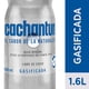 thumbnail image 1 of Agua Mineral Con Gas Botella, 1 of 1
