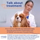 thumbnail image 4 of Vetmedin comprimidos masticables 2,5 mg para perros, 50 unidades, 4 of 8