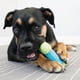 thumbnail image 3 of Juguete Kong Corestrength Bone Perro, Medium/Large (18cms), 3 of 3