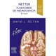 thumbnail image 1 of Netter. Flashcards de neurociencia 4ed., 1 of 3
