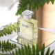 thumbnail image 3 of Perfume Houbigant Fougere Royale Eau de Parfum para hombre, 100 ml, 3 of 3