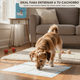 thumbnail image 2 of 50 Pañales Sabanillas Entrenamiento Absorbentes Mascota Perros 60x45cm, 2 of 7