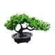 thumbnail image 5 of Pantallas De Escritorio De Bonsai De Plantas Artificiales Para La Altura Del Hotel De La Oficina De La Granja 19 Cm, 5 of 5