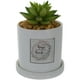 thumbnail image 4 of Planta Decorativa Home in The Heart, 4 of 4