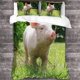 thumbnail image 3 of Pig Swine Bedding Duvet Cover Set Cute Animals Quilt Cover Soft Microfiber Bedroom Duvet Set, 3 of 3
