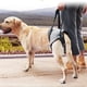 thumbnail image 3 of Arnés de elevación para perros, Sling para perros grandes y medianos, arnés de apoyo para perros ajustable para piernas traseras, arnés de diseño cómodo para mascotas con acolchado para anci, 3 of 3