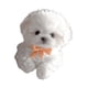 thumbnail image 2 of Juguete Electrónico De Peluche Para Perro, Que Camina Y Mueve La Cola, Bonito Para Mujeres, Niños Y Adultos, Color Blanco, 2 of 5