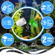 thumbnail image 2 of Cápsulas Bio Beseder para Limpiar el Agua del Acuario, 2 of 9