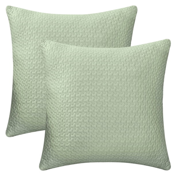 REGALWOVEN Fundas de Cojín Suaves Juego de 2, Fundas de Cojín Geométricas Modernas Decorativas para Sofá Sala de Estar Decoración del Hogar Verde 20" x 20"