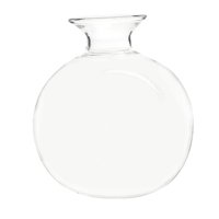 Bothyi - Florero Para Principiantes Con Semillas De Aguacate, Regalos Decorativos, Florero Transparente Para Oficina, Hogar, Jardín, Estilo B