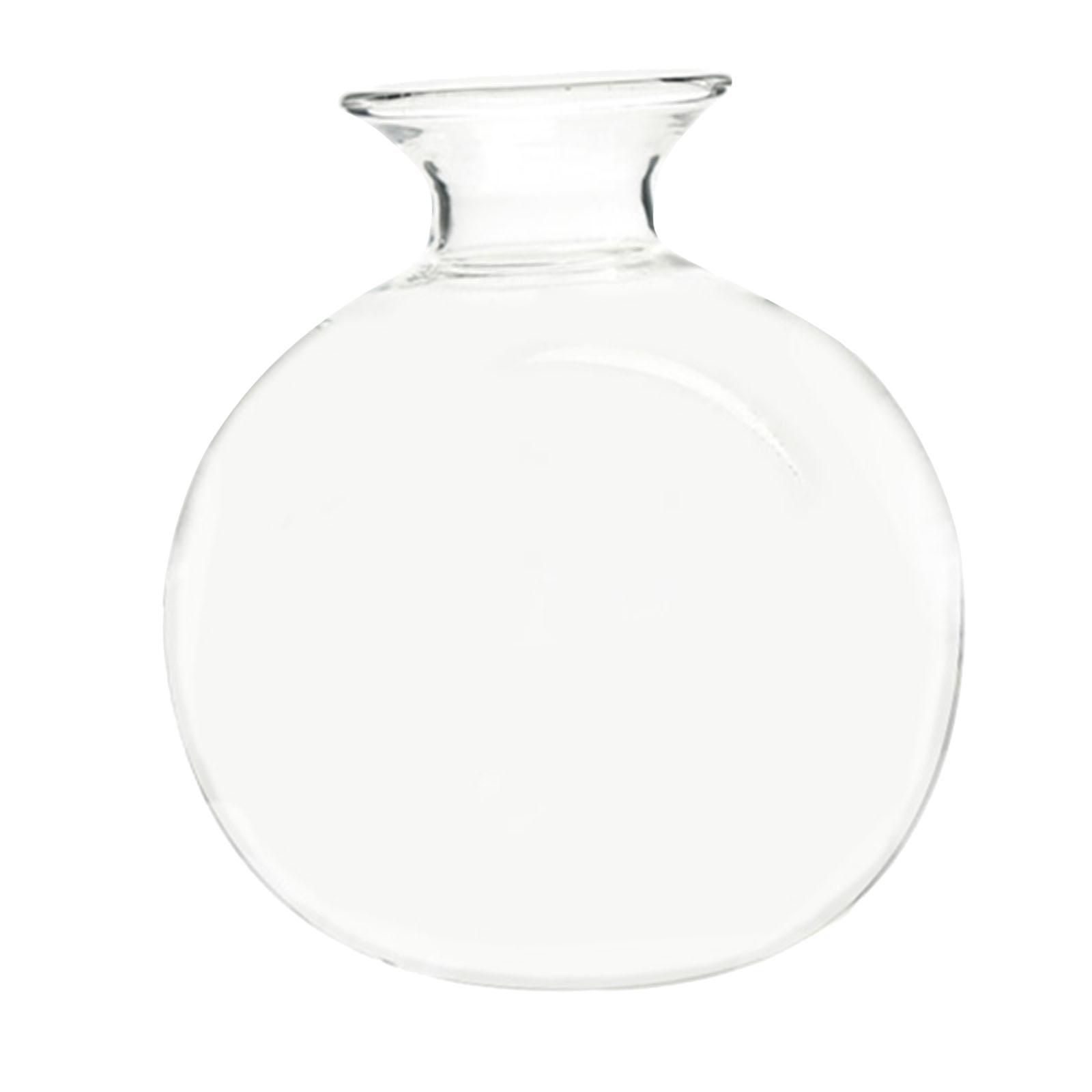 Bothyi - Florero Para Principiantes Con Semillas De Aguacate, Regalos Decorativos, Florero Transparente Para Oficina, Hogar, Jardín, Estilo B