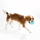 thumbnail image 3 of Pelota para perro Playology Jumbo con aroma a mantequilla de maní, 3 of 6
