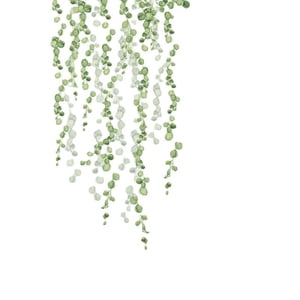 Bothyi - 2 Pegatinas De Pared Con Enredaderas Colgantes, Decoración De Pared Diy Para Sofá, Fondo, Cocina, Porche