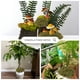 thumbnail image 3 of Musgo artificial USMOLA falso musgo verde para plantas en macetas, 3 of 7
