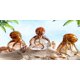 thumbnail image 4 of Figura decorativa de pulpo de cristal EUSTUMA para pecera y acuario, 4 of 7