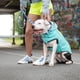 thumbnail image 3 of GFPet Impermeable Reversible, Neon Aqua - Large, 3 of 3