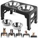 thumbnail image 1 of Comedero Elevado Ajustable para Perros Jovrun con 5 Alturas, 1 of 7