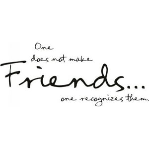 Rienda Libre Graphics - Decomural Friends Family Ws-15962