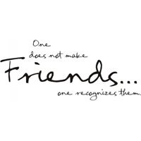 Rienda Libre Graphics - Decomural Friends Family Ws-15962