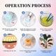 thumbnail image 5 of Pack de 6 Lienzos de Plantas – Kit de Pintura por Números Camocin (20 × 30 cm), 5 of 7