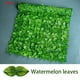 thumbnail image 5 of Transform Your Outdoor Garden with our Artificial Faux Ivy Hedge Leaf Privacy Screen - Perfect for Privacy, Decoration and Photo Props!, 5 of 5