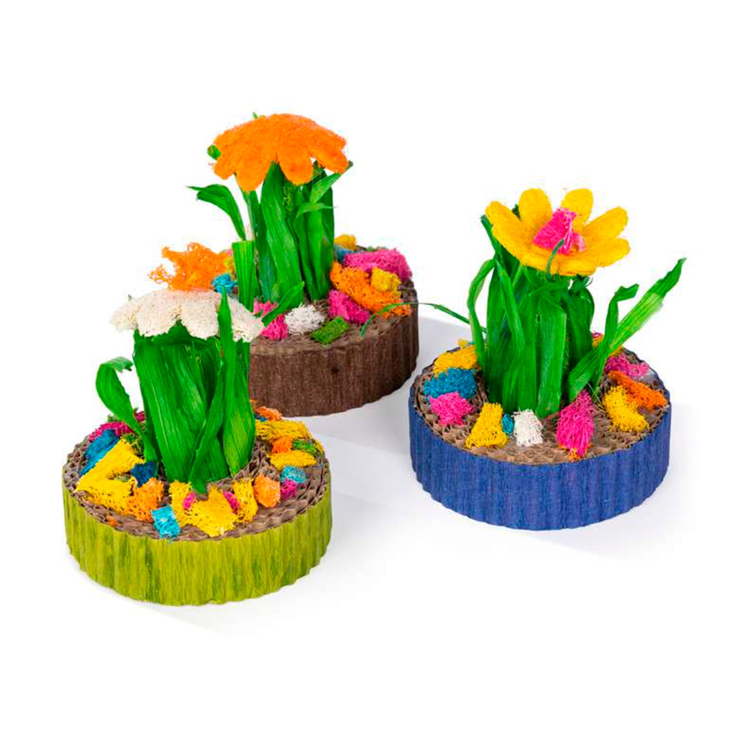 Jardin Mini Suculentas 3 Un Prevue