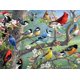 thumbnail image 1 of Rompecabezas Buffalo Games Hautman Brothers Birds 1000 piezas, 1 of 6