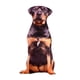 thumbnail image 5 of Animales Perro Patrón Felpa Cojín Cojín Lavable Estilo D, 5 of 5