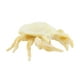 thumbnail image 4 of Criaturas Marinas Realistas, Juguetes Educativos Para Decoraciones, Colección De Regalos, Cangrejos, 4 of 5